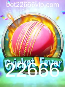 CricketFever: Explore as Regras e o Fascínio do Jogo do Momento